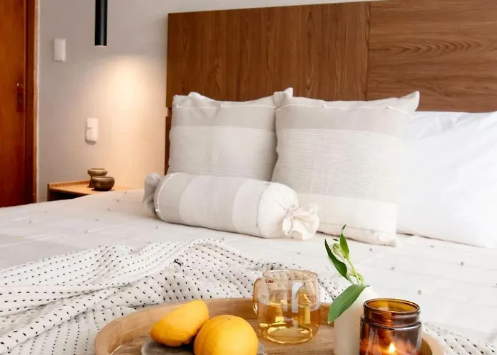 Newly Renovated 4br In The Heart Of Condesa