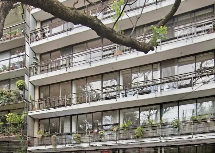 Newly Renovated 4br In The Heart Of Condesa