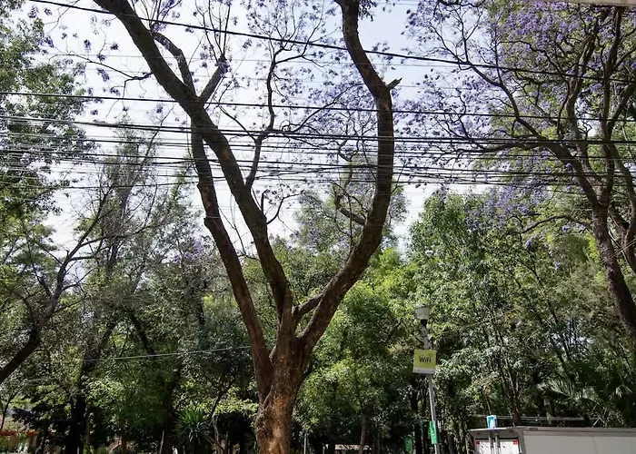 Apartment Newly Renovated 4br In The Heart Of Condesa Mexico City